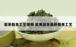 岩茶做青工艺视频 武夷岩茶最新做青工艺