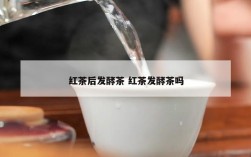 红茶后发酵茶 红茶发酵茶吗