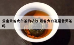 云南景谷大白茶的功效 景谷大白毫是普洱茶吗