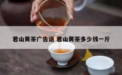 君山黄茶广告语 君山黄茶多少钱一斤