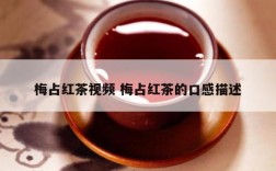 梅占红茶视频 梅占红茶的口感描述