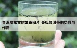 普洱曼松古树生茶图片 曼松普洱茶的功效与作用