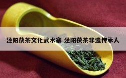 泾阳茯茶文化武术塞 泾阳茯茶非遗传承人