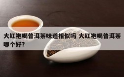 大红袍喝普洱茶味道相似吗 大红袍喝普洱茶哪个好?