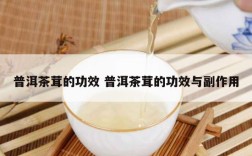 普洱茶茸的功效 普洱茶茸的功效与副作用